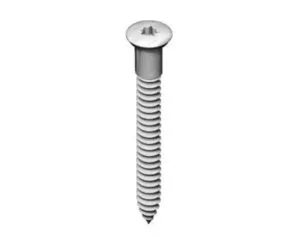 Nurgakruvi 5.0x40 ruspert TORX 20 (5000tk)