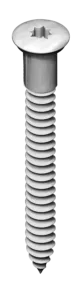 Nurgakruvi 5.0x50 zn TORX 20 (250tk)