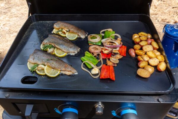 Plaatgrill Pit Boss® Plancha 2 gaasipõletit + alusraam