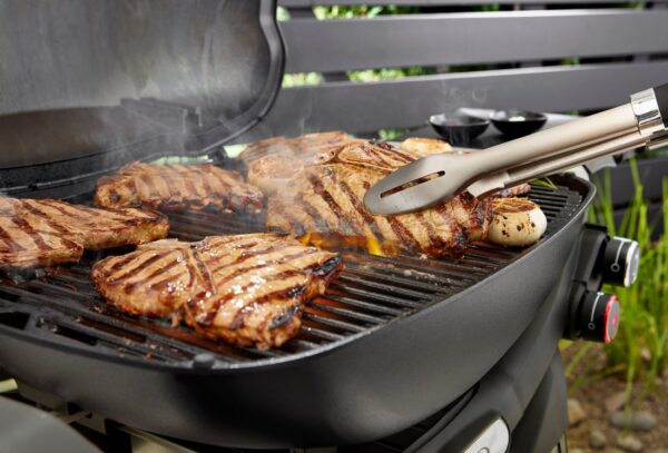 Gaasigrill Weber® Q3200N