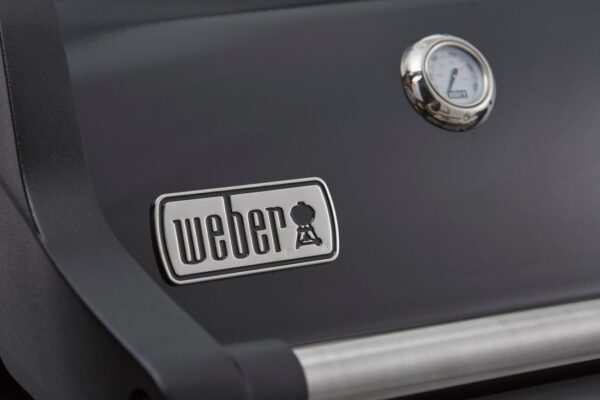 Gaasigrill Weber® Spirit E-325 küljepõletiga