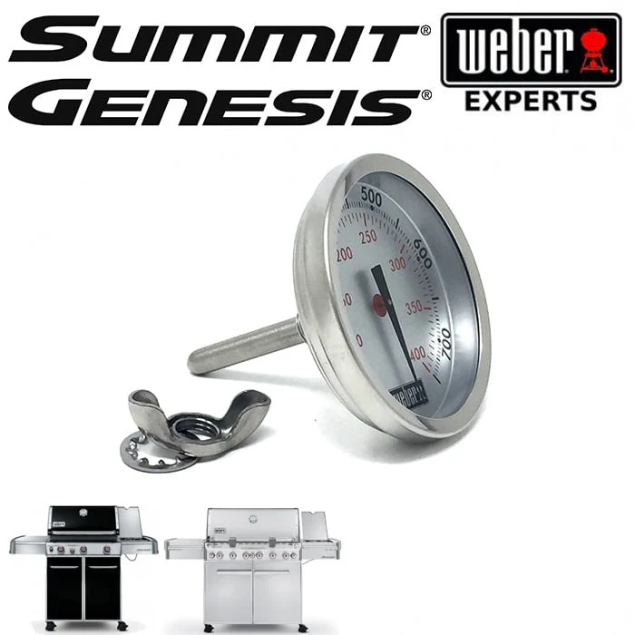 Weber termomeeter - Genesis II