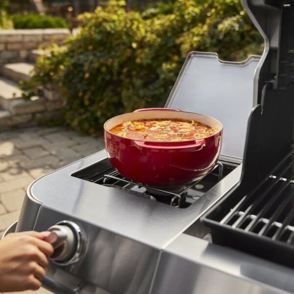 Gaasigrill Weber® Summit FS38 S