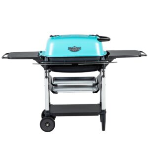 Steigigrill PK300 Franklin edition in sinakas/grafiitmust