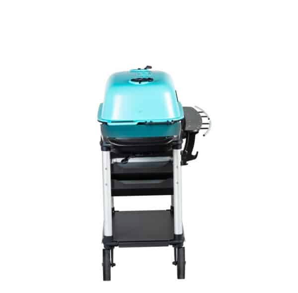 Steigigrill PK300 Franklin edition in sinakas/grafiitmust